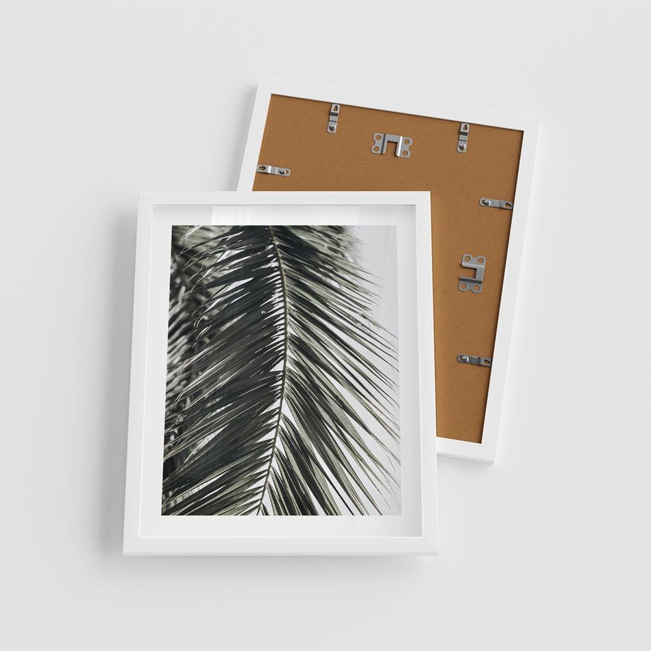 Plakat w ramie 40x50 - Liść Palmy: Egzotyczny Detal Natury - palma, liść palmy - rama biała