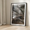 Plakat bez ramy 30x40 - Liściaste Palmy - palmy, drzewa palmowe