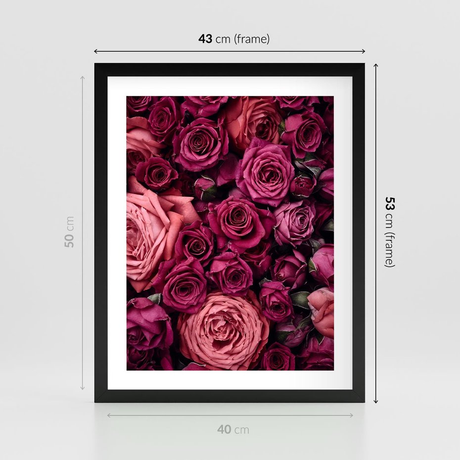 Plakat w ramie 40x50 - Róże - piękno kwiatów - róże, kwiaty - rama czarna