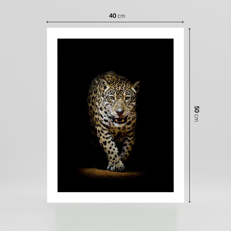 Plakat bez ramy 40x50 - Elegancja lamparta - lampart, pantera