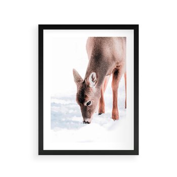Plakat w ramie 30x40 - Sarna w Zimowym Raju - sarna, na śniegu - rama czarna