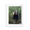 Plakat w ramie 30x40 - Spotkanie z Niedźwiedziem w Lesie - niedźwiedź, las - rama biała
