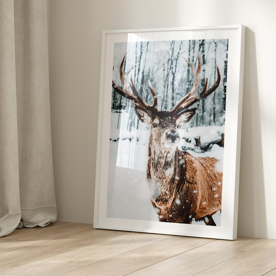 Plakat bez ramy 30x40 - Jeleń na Zdjęciu pod Śniegiem - jeleń, zima