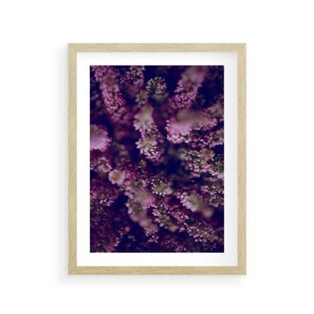 Plakat w ramie 30x40 - Wrzosowa Delikatność - wrzosy, kwiaty - rama drewno