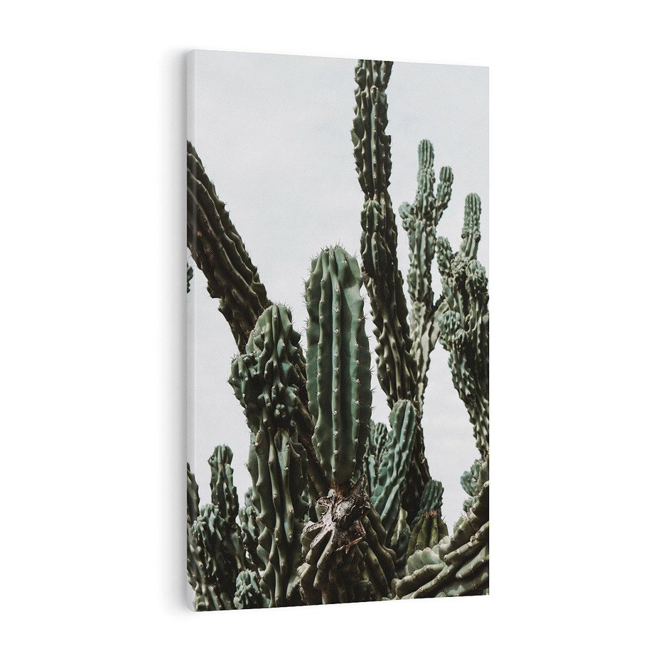 Obraz na płótnie 70x100 - Boho oaza wśród kaktusów - kaktusy, pustynia