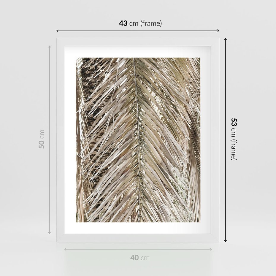 Plakat w ramie 40x50 - Boho Urok Palmy: Zbliżenie Natury - sucha palma, zbliżenie - rama biała