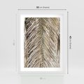 Plakat w ramie 30x40 - Boho Urok Palmy: Zbliżenie Natury - sucha palma, zbliżenie - rama biała