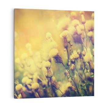 Obraz na płótnie 50x50 - Natura w pełnym rozkwicie - łąka, natura