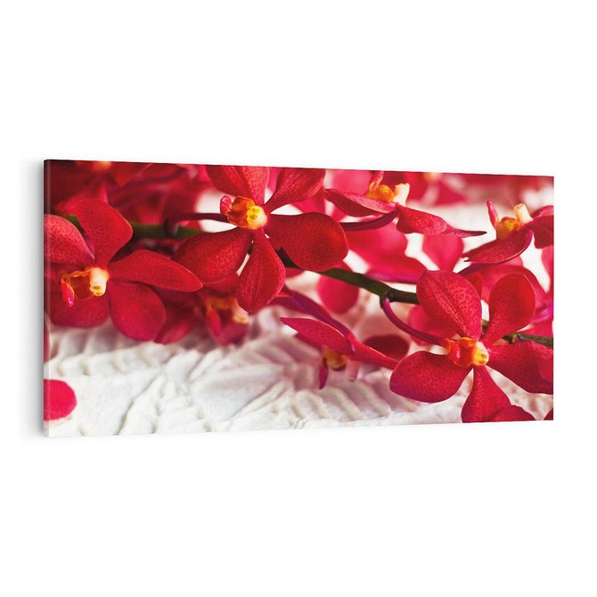 Obraz na płótnie 100x50 - Delikatność Kwiatowej Elegancji - orchidea, kwiat