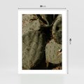 Plakat bez ramy 30x40 - Urok Egzotyki - kaktusy, boho