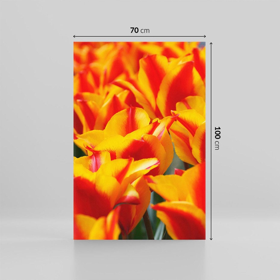 Obraz na płótnie 70x100 - Kwiatowa natura - kwiat, kwiaty