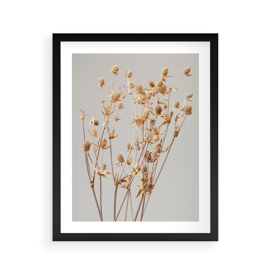 Plakat w ramie 40x50 - Delikatne gipsówki - gipsówka, suche - rama czarna