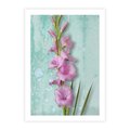 Plakat bez ramy 40x50 - Piękno w delikatności - kwiaty, różowe