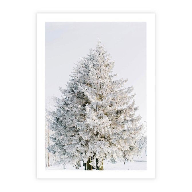 Plakat bez ramy 21x30 - Zimowa Poezja w Ośnieżonym Drzewie - ośnieżone drzewo, zima