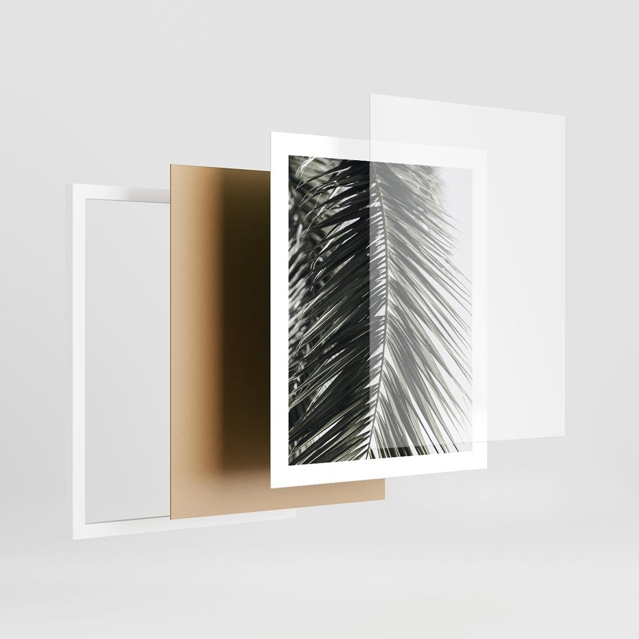 Plakat w ramie 40x50 - Liść Palmy: Egzotyczny Detal Natury - palma, liść palmy - rama biała