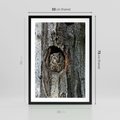 Plakat w ramie 50x70 - Tajemniczy W świecie Nocy - sowa, dziupla - rama czarna