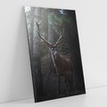 Obraz na płótnie 50x70 - Jeleń wśród lasu - jeleń, las