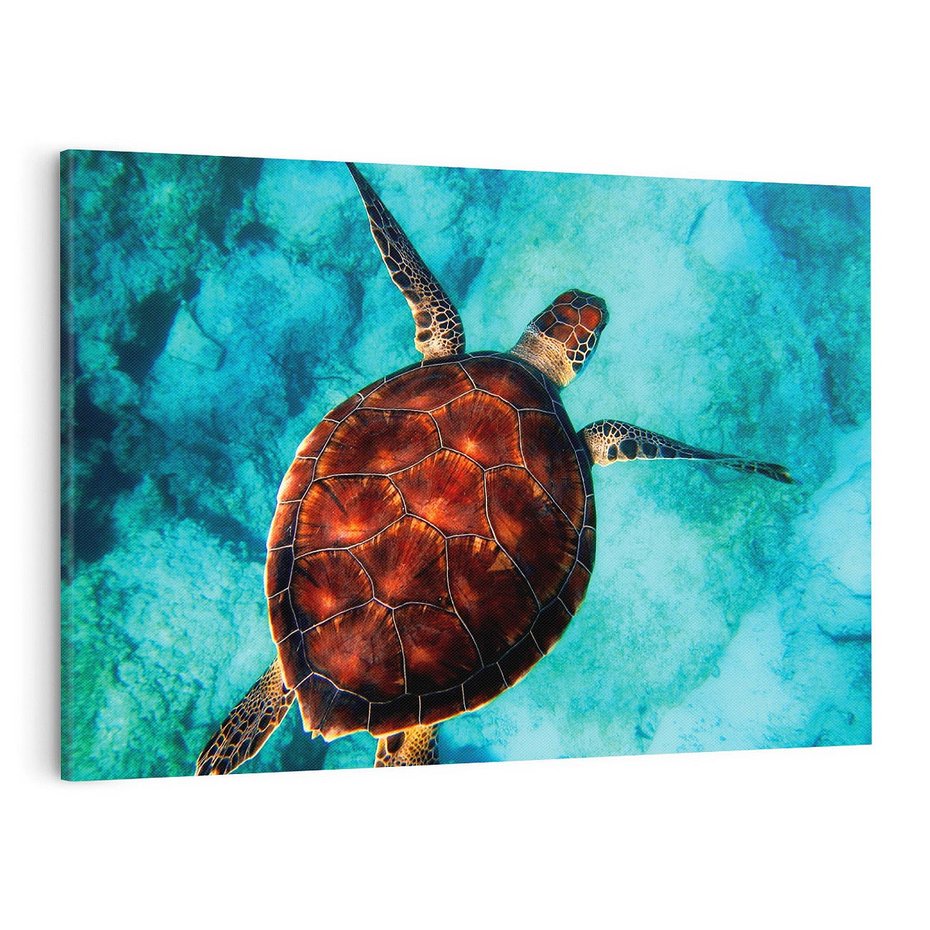Obraz na płótnie 120x80 - Morze, fale i skały - żółw, morze