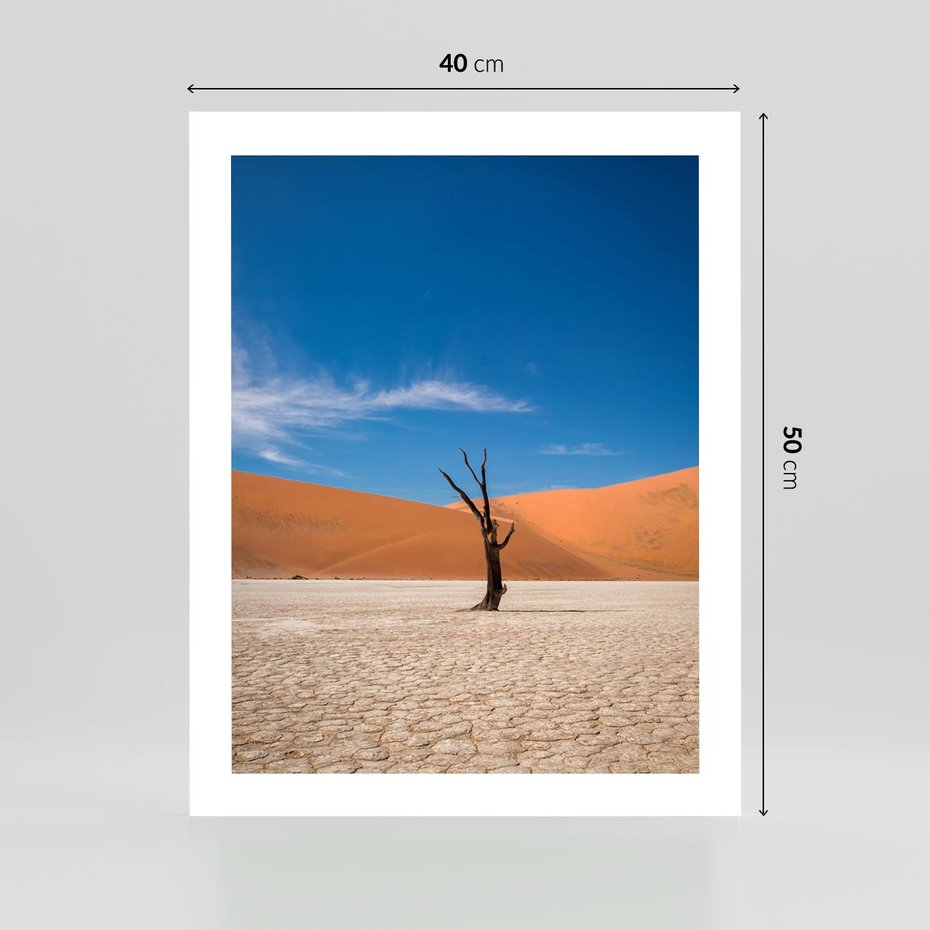Plakat bez ramy 40x50 - Słońce i Suche Drzewo - pustynia, suche