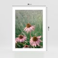 Plakat bez ramy 30x40 - Natura w Pełnym Blasku - kwiaty na łące, różowe kwiaty polne