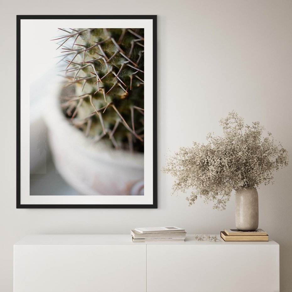 Plakat bez ramy 30x40 - Kaktus w Zbliżeniu - kaktus, igły
