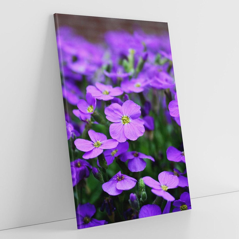 Obraz na płótnie 70x100 - Kwiatowe uniesienia magia natury - kwiat, kwiaty