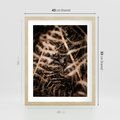 Plakat w ramie 40x50 - Liście i Paprocie - suche liście, paprocie - rama drewno