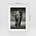 Plakat w ramie 30x40 - Majestatyczny słoń Afryki - słoń, Afryka - rama biała