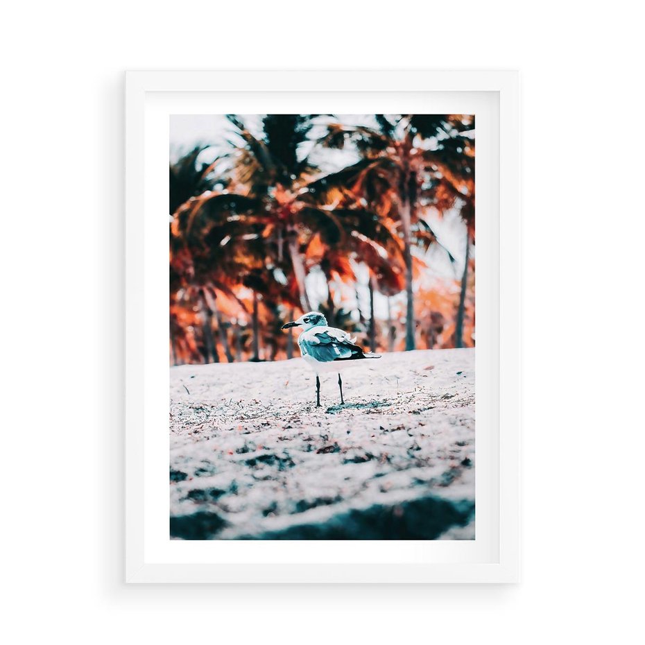 Plakat w ramie 50x70 - Tropikalna Uroda: Plaża z Mewą - tropikalna plaża, mewa na piasku - rama biała