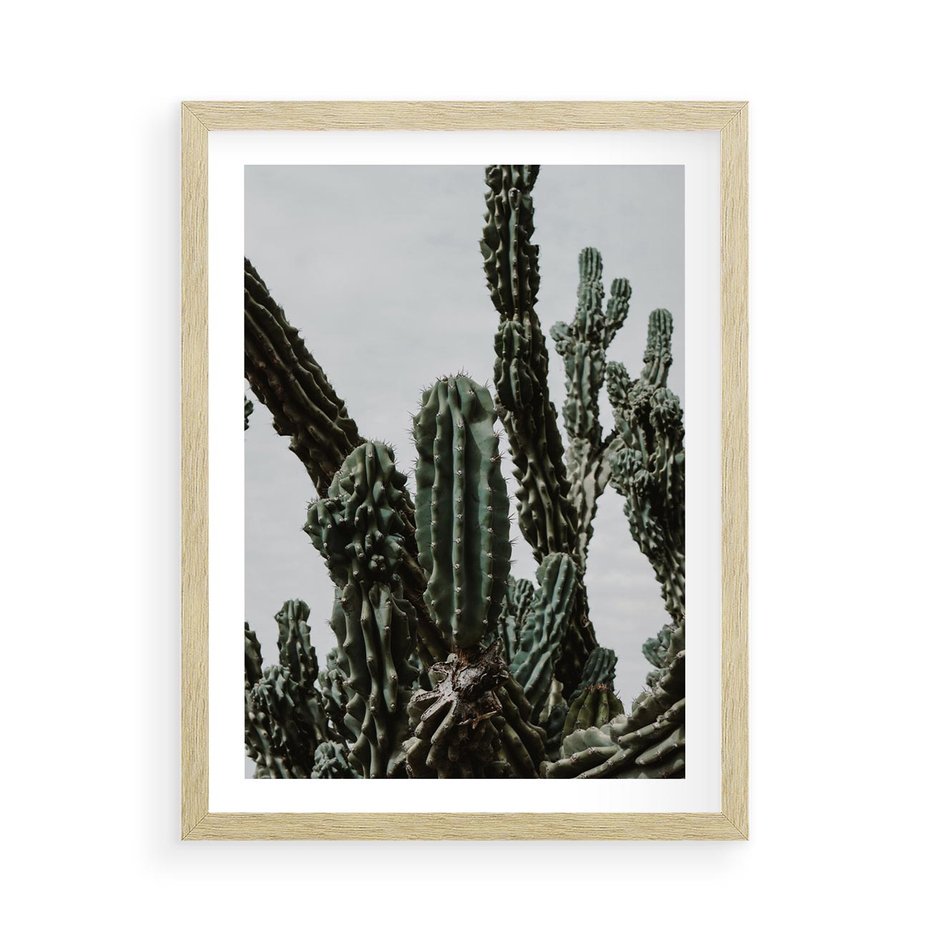 Plakat w ramie 50x70 - Boho oaza wśród kaktusów - kaktusy, pustynia - rama drewno