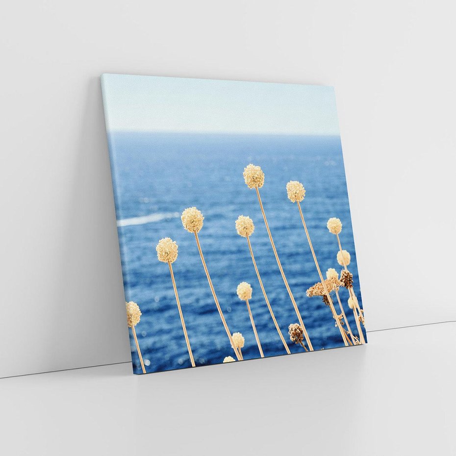 Obraz na płótnie 40x40 - Kontrasty Natury - fotografia, pierwszy plan sucha roślinność