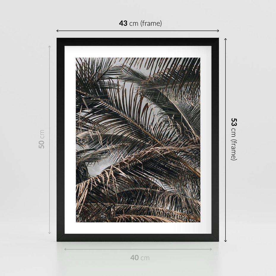 Plakat w ramie 40x50 - Liściaste Palmy - palmy, drzewa palmowe - rama czarna