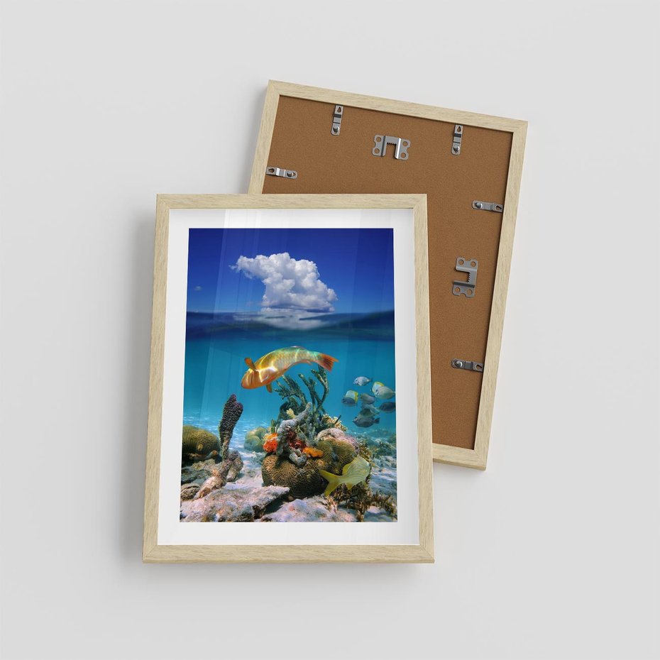 Plakat w ramie 30x40 - Podwodna rafa koralowa: kolorowy oceanowy świat - rafa, koralowa - rama drewno