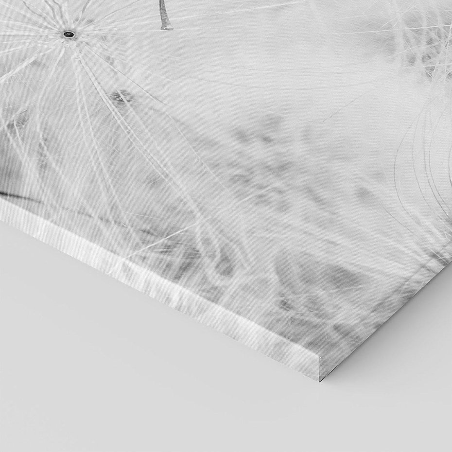 Obraz na płótnie 50x70 - Zdmuchnięty Puch - dmuchawce, delikatne