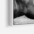 Obraz w ramie 50x50 - Potęga Afryki - czarno biała fotografia, zbliżenie na postać nosorożca - rama biała