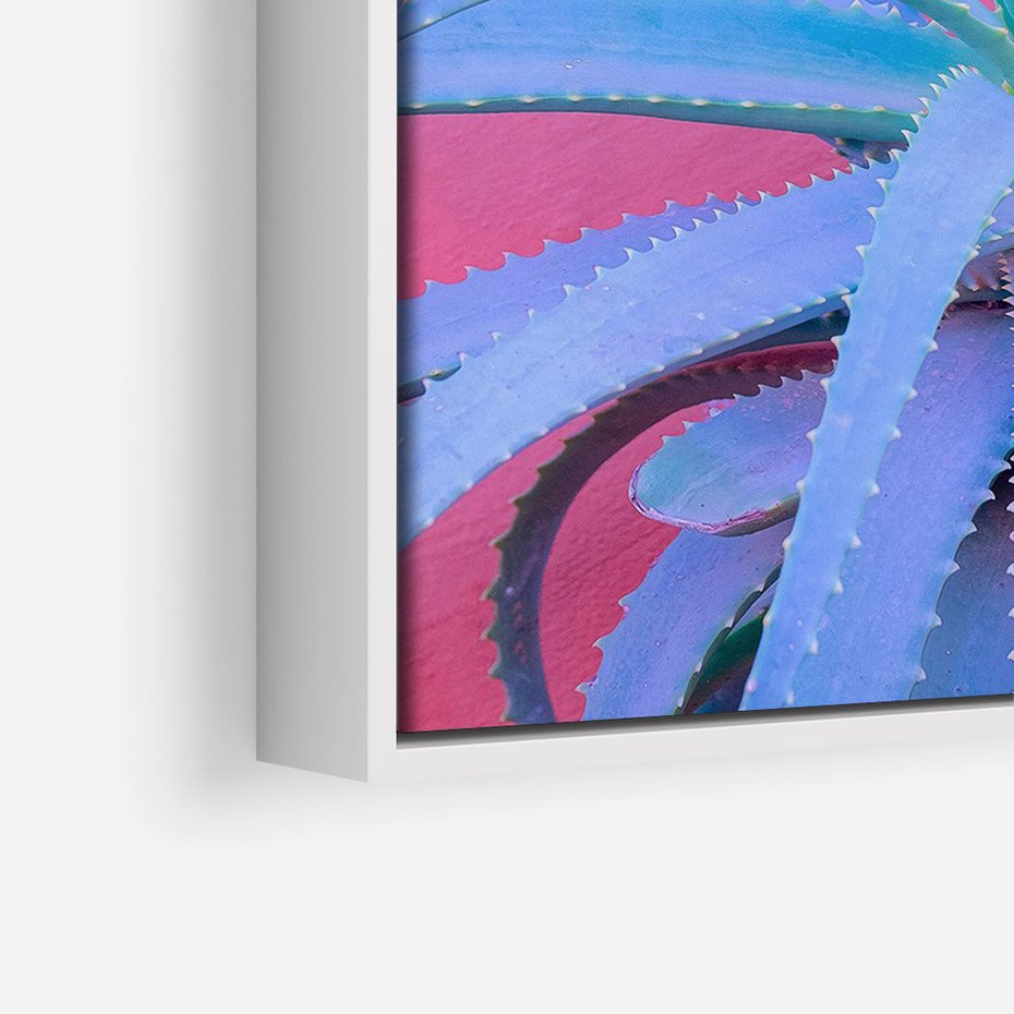 Obraz w ramie 50x70 - Piękno Pustyni - kaktusy, liście - rama biała