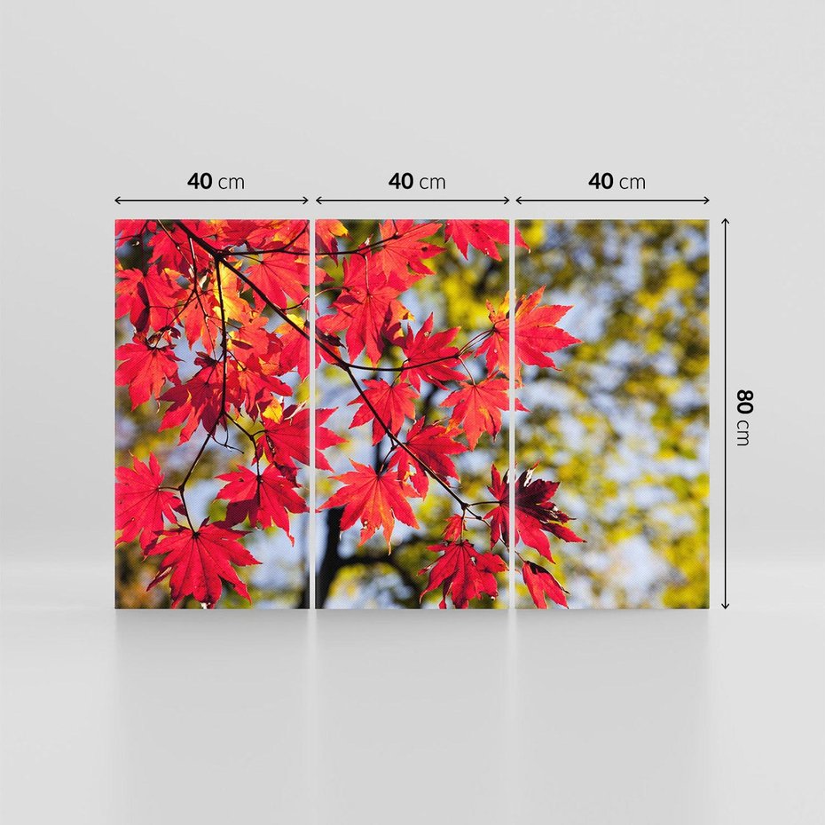 Obraz na płótnie 120x80 - Jesienny Urok Drzewa i Opadających Liści - drzewo, liście