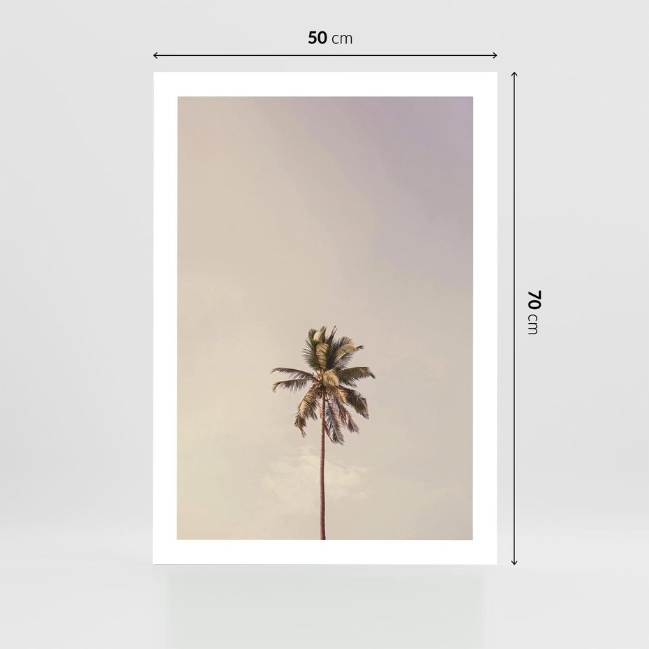 Plakat bez ramy 50x70 - Samotna Palma pod Niebem - samotna palma, na tle nieba