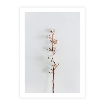 Plakat bez ramy 21x30 - Minimalistyczna Gałązka Bawełny - bawełna, gałązka bawełny