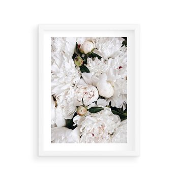 Plakat w ramie 30x40 - Modne Białe Kwiaty - białe kwiaty, płatki - rama biała