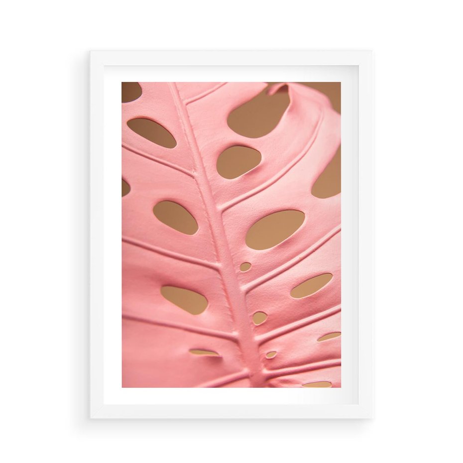 Plakat w ramie 50x70 - Różowa monstera w pełnym rozkwicie - różowa, monstera - rama biała