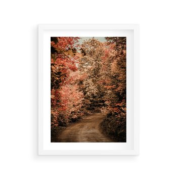 Plakat w ramie 40x50 - Obraz przedstawia jesienne drzewa i czerwone liście na ścieżce w lesie. Ta sceneria doskonale oddaje urok i kolorystykę jesieni w lesie. - las, jesień - rama biała