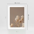 Plakat w ramie 30x40 - Przezroczyste piękno - gipsówka, suche - rama biała