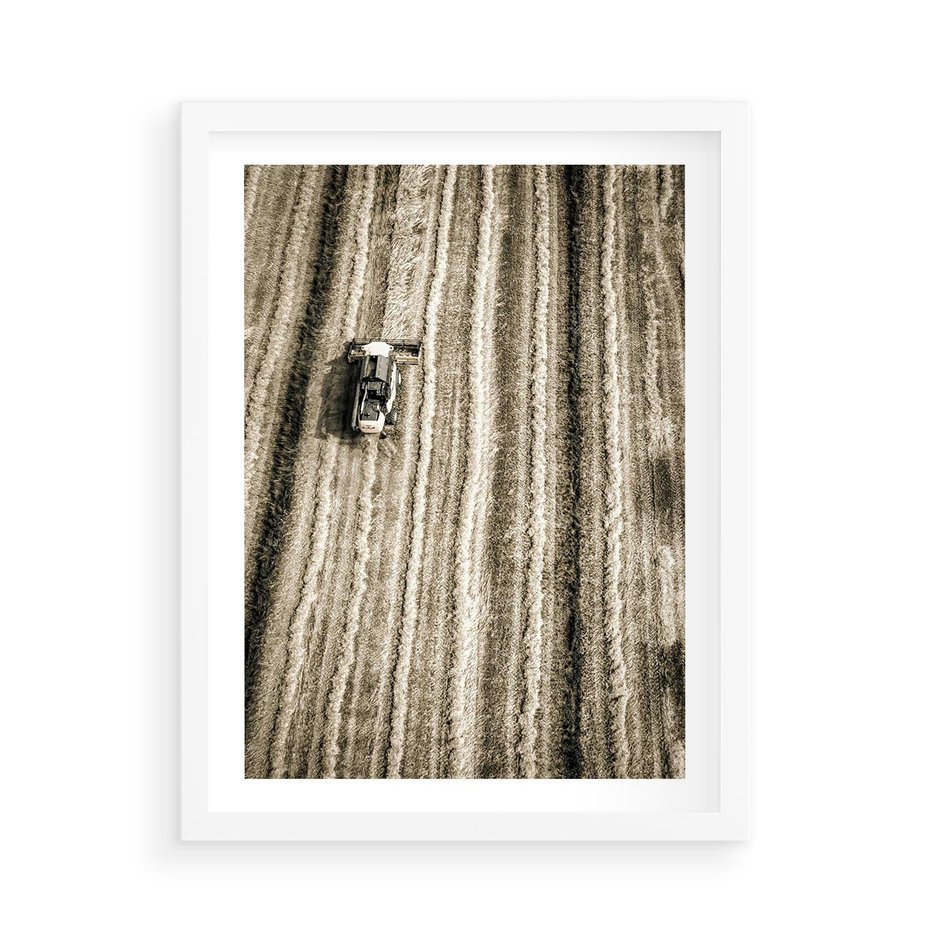 Plakat w ramie 50x70 - Sepia na Polu - kombajn, pole - rama biała
