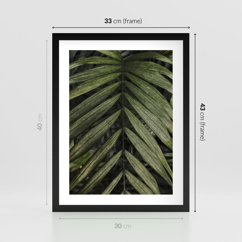 Plakat w ramie 30x40 - W Liściach Ukryte - zdjęcie, fotografia - rama czarna