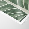 Plakat bez ramy 30x40 - Zielone Wielkości: Zbliżenie Liścia - zbliżenie duz liść, jasna zieleń