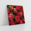 Obraz na płótnie 70x70 - Piękno róż: delikatność natury - róże, kwiaty