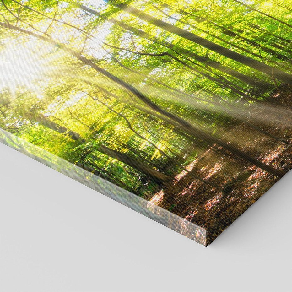 Obraz na płótnie 120x40 - Drzewa w harmonii - las, drzewa