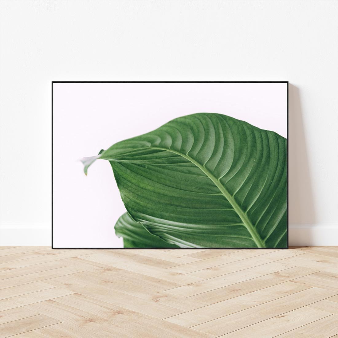 Obraz w ramie 70x50 - Zielone liście monstery - liście, monstera - rama czarna