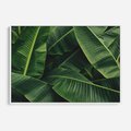 Obraz w ramie 120x80 - Zaklęta roślinna ekspresja - liście bananowca, gęsto ułożone - rama biała